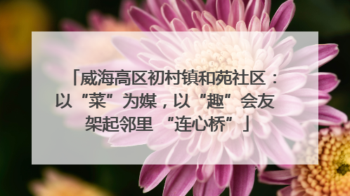威海高区初村镇和苑社区：以“菜”为媒，以“趣”会友 架起邻里 “连心桥”