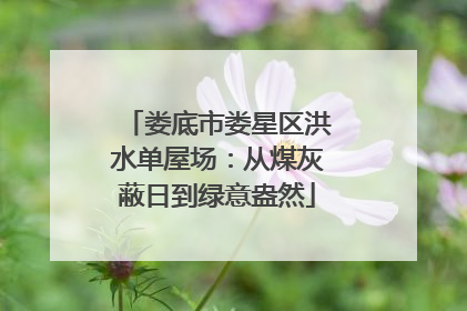 娄底市娄星区洪水单屋场：从煤灰蔽日到绿意盎然