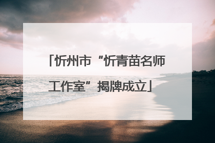 忻州市“忻青苗名师工作室”揭牌成立