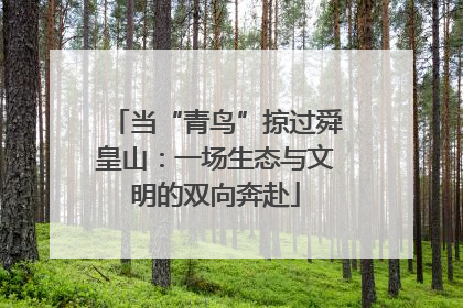 当“青鸟”掠过舜皇山：一场生态与文明的双向奔赴