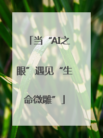 当“AI之眼”遇见“生命微雕”