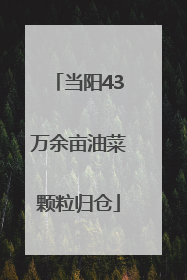 当阳43万余亩油菜颗粒归仓