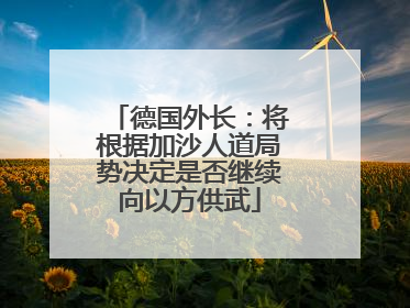 德国外长：将根据加沙人道局势决定是否继续向以方供武