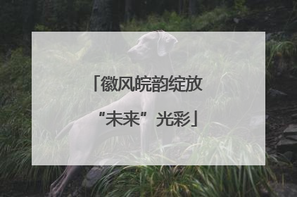 徽风皖韵绽放“未来”光彩