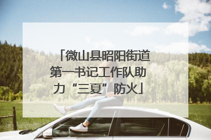微山县昭阳街道第一书记工作队助力“三夏”防火