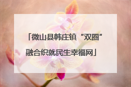 微山县韩庄镇“双圈”融合织就民生幸福网