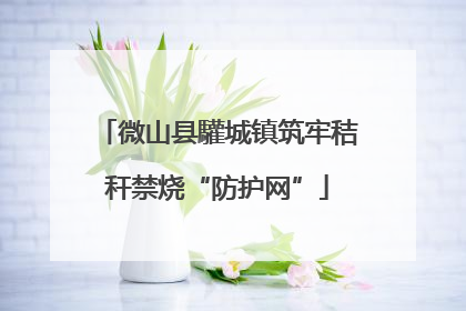 微山县驩城镇筑牢秸秆禁烧“防护网”