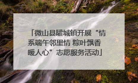 微山县驩城镇开展“情系端午邻里情 粽叶飘香暖人心”志愿服务活动