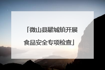 微山县驩城镇开展食品安全专项检查