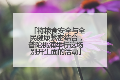 将粮食安全与全民健康紧密结合，普陀桃浦举行这场别开生面的活动