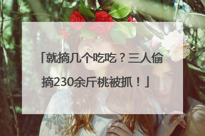 就摘几个吃吃？三人偷摘230余斤桃被抓！