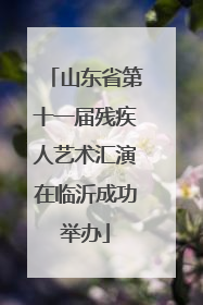 山东省第十一届残疾人艺术汇演在临沂成功举办