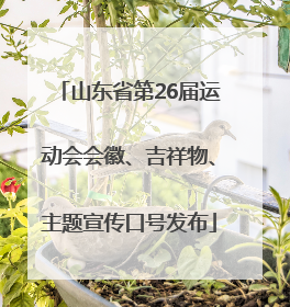 山东省第26届运动会会徽、吉祥物、主题宣传口号发布