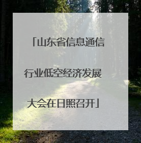 山东省信息通信行业低空经济发展大会在日照召开