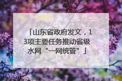 山东省政府发文，13项主要任务推动省级水网“一网统管”