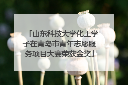 山东科技大学化工学子在青岛市青年志愿服务项目大赛荣获金奖