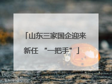 山东三家国企迎来新任 “一把手”