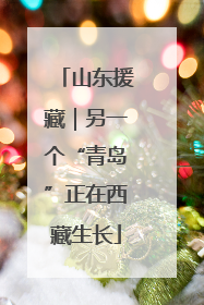 山东援藏｜另一个“青岛”正在西藏生长