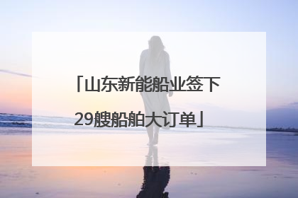 山东新能船业签下29艘船舶大订单