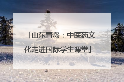 山东青岛：中医药文化走进国际学生课堂