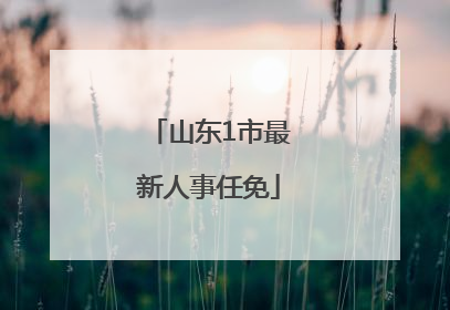 山东1市最新人事任免