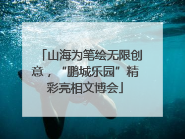 山海为笔绘无限创意，“鹏城乐园”精彩亮相文博会