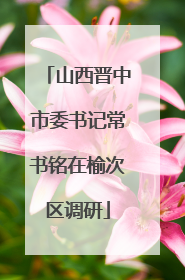 山西晋中市委书记常书铭在榆次区调研
