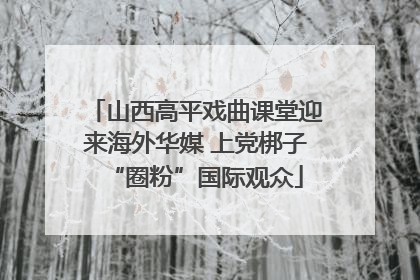 山西高平戏曲课堂迎来海外华媒 上党梆子“圈粉”国际观众