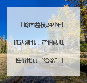 岭南荔枝24小时抵达湖北，产销两旺性价比真“给荔”