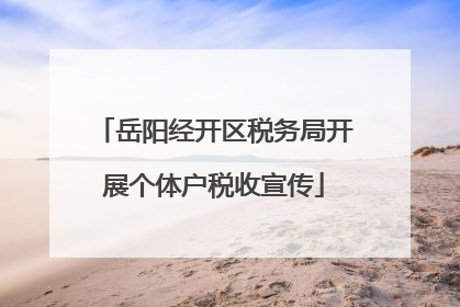 岳阳经开区税务局开展个体户税收宣传
