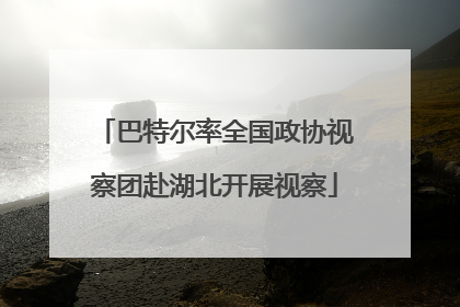 巴特尔率全国政协视察团赴湖北开展视察