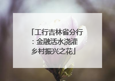 工行吉林省分行：金融活水浇灌 乡村振兴之花