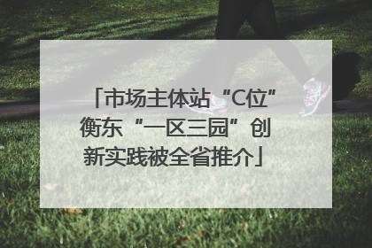 市场主体站“C位” 衡东“一区三园”创新实践被全省推介