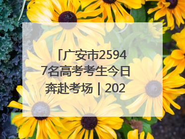 广安市25947名高考考生今日奔赴考场｜2025四川高考