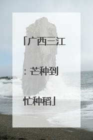 广西三江：芒种到 忙种稻