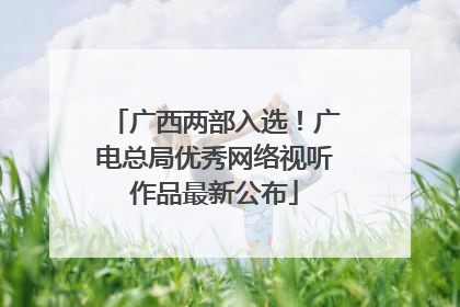 广西两部入选！广电总局优秀网络视听作品最新公布