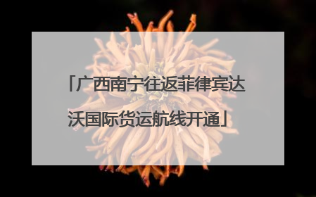 广西南宁往返菲律宾达沃国际货运航线开通