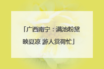 广西南宁：满池粉黛映夏凉 游人赏荷忙