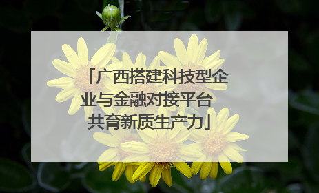 广西搭建科技型企业与金融对接平台 共育新质生产力