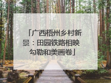广西梧州乡村新景：田园铁路相映 勾勒和美画卷