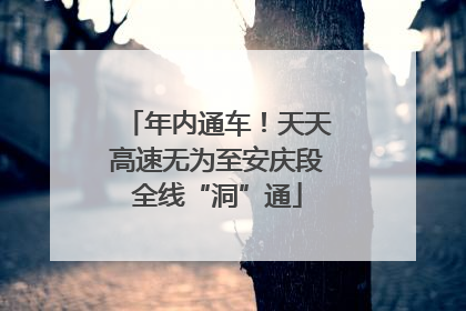 年内通车！天天高速无为至安庆段全线“洞”通