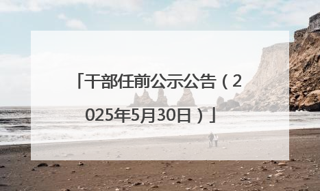干部任前公示公告（2025年5月30日）