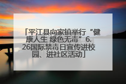 平江县向家镇举行“健康人生 绿色无毒”6.26国际禁毒日宣传进校园、进社区活动