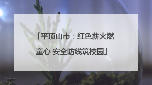 平顶山市：红色薪火燃童心 安全防线筑校园