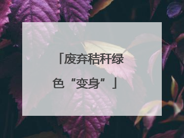 废弃秸秆绿色“变身”