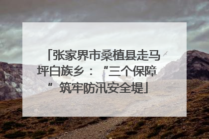 张家界市桑植县走马坪白族乡：“三个保障”筑牢防汛安全堤