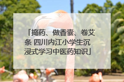 捣药、做香囊、卷艾条 四川内江小学生沉浸式学习中医药知识