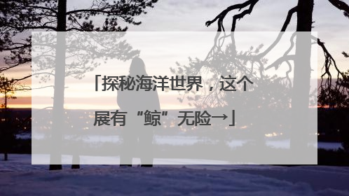 探秘海洋世界，这个展有“鲸”无险→