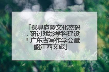 探寻庐陵文化密码，研讨戏影学科建设！广东省写作学会赋能江西文旅