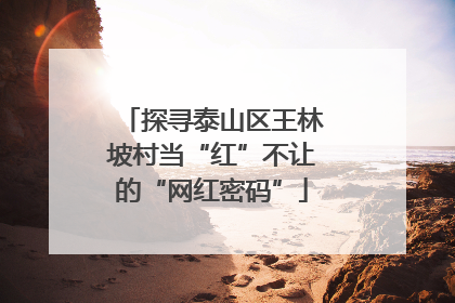 探寻泰山区王林坡村当“红”不让的“网红密码”